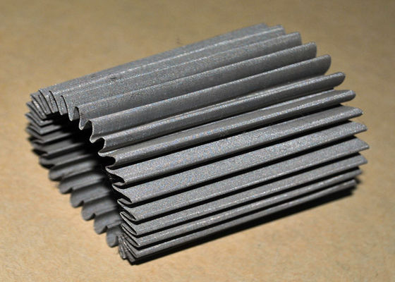 Giá tốt. 304 SS Bộ lọc / Bộ lọc dây lưới xếp li với một lớp / nhiều lớp trực tuyến