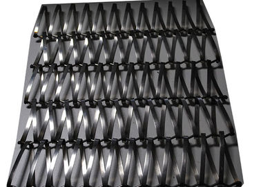 Giá tốt. SS Sus 304 Lớp xoắn ốc dây băng tải dây lưới trang trí trực tuyến