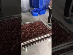 Xe tải lưới dây thép không gỉ để sấy khô