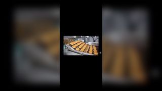 Thép không gỉ Lò nướng bánh Pizza Thang liên kết chuỗi Băng tải Dây phẳng Lưới Flex Thắt lưng cho áo choàng sô cô la,